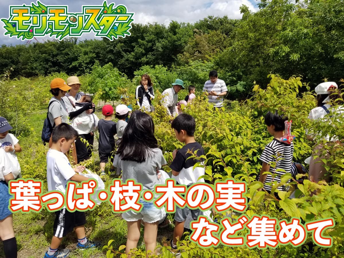 モリモンの素ゲット!